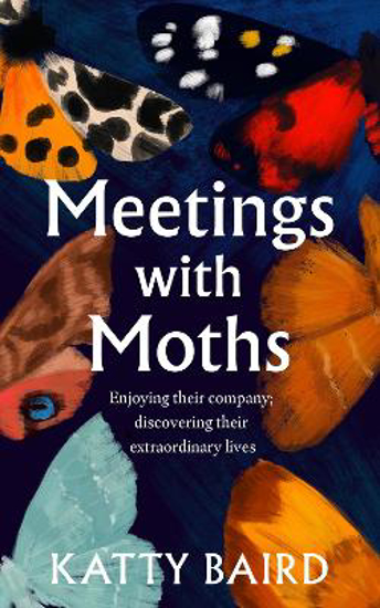 Picture of Meetings With Moths (baird) Hb