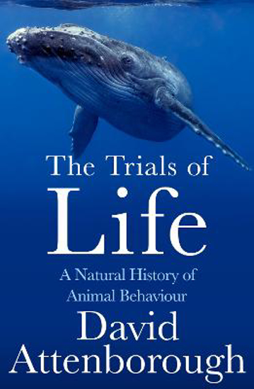 Picture of The Trials Of Life (attenborough) Pb