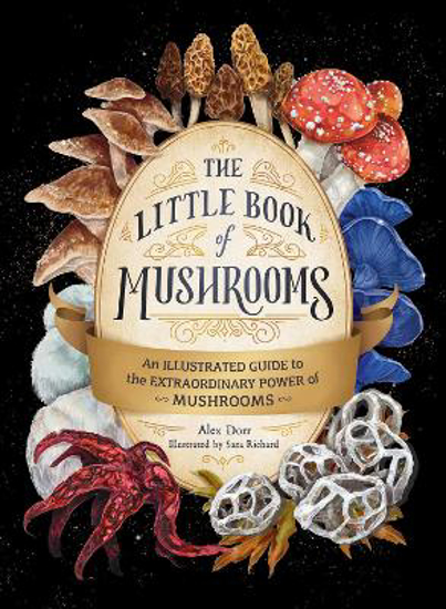 Picture of The Little Book Of Mushrooms (dorr) Hb