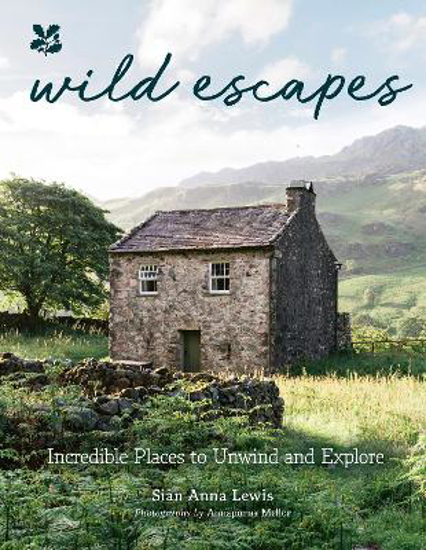 Picture of Wild Escapes (lewis) Hb