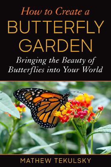 Picture of How To Create A Butterfly Garden