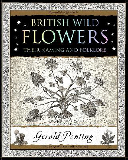 Picture of Wooden: British Wild Flowers