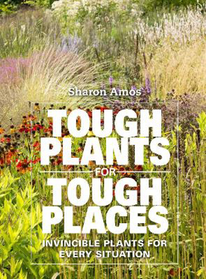 Picture of Tough Plants for Tough Places
