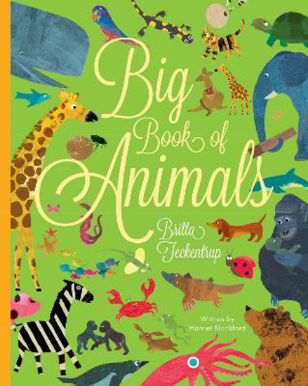 Picture of Big Book Of Animals (teckentrup) Hb