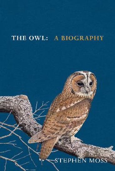 Picture of The Owl: A Biography