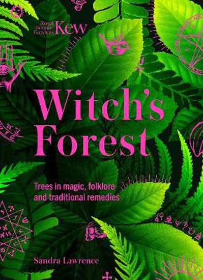Picture of Witch's Forest