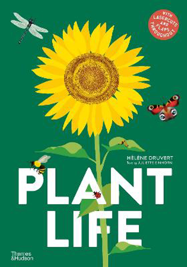 Picture of Plant Life