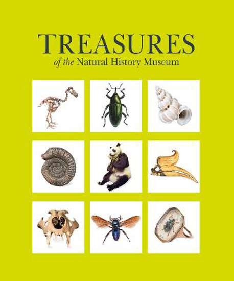 Picture of Treasures Of The Natural History Museum Hb