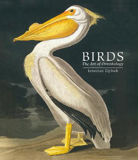 Picture of Birds: The Art Of Ornithology (elphick) Hb