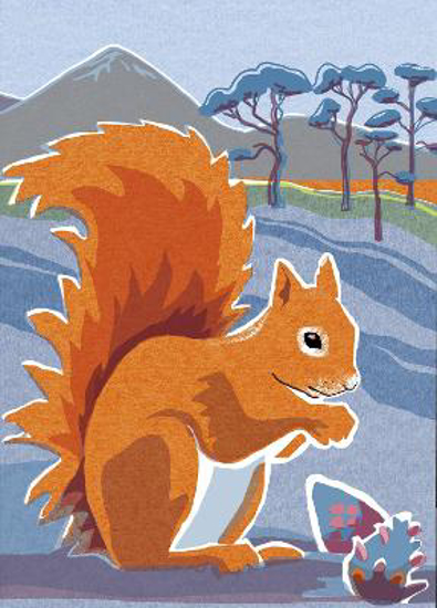 Picture of Nature Notebook: Red Squirrel