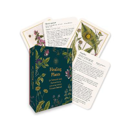Picture of Healing Plants: A Botanical Card Deck Pack