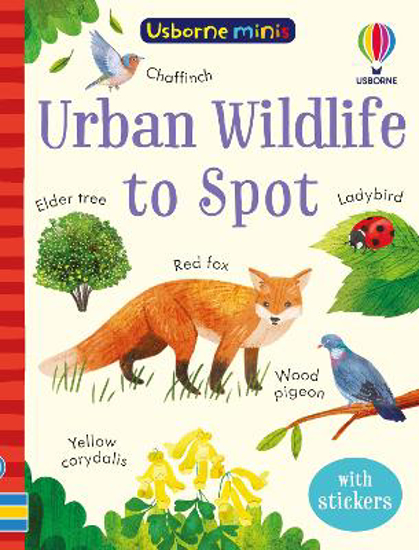 Picture of Urban Wildlife To Spot Pb