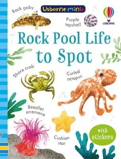 Picture of Rock Pool Life To Spot