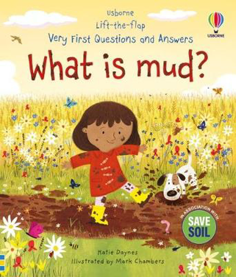Picture of What Is Mud? Board