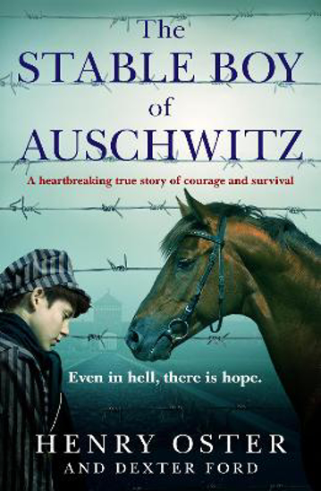 Picture of The Stable Boy of Auschwitz