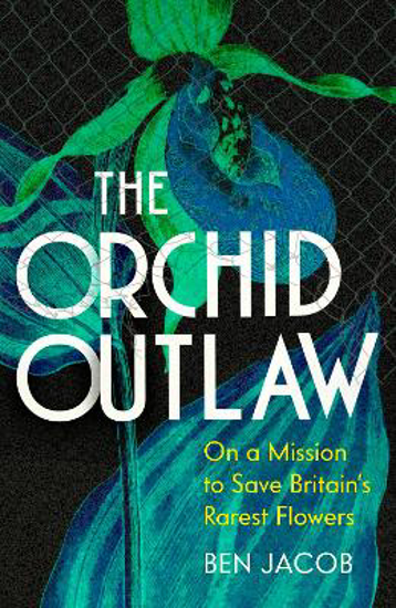 Picture of The Orchid Outlaw