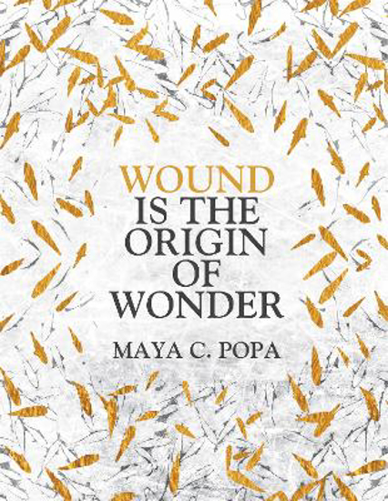 Picture of Wound Is The Origin Of Wonder (popa) Pb