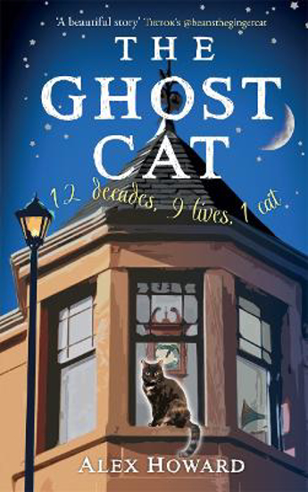 Picture of The Ghost Cat (howard) Hb