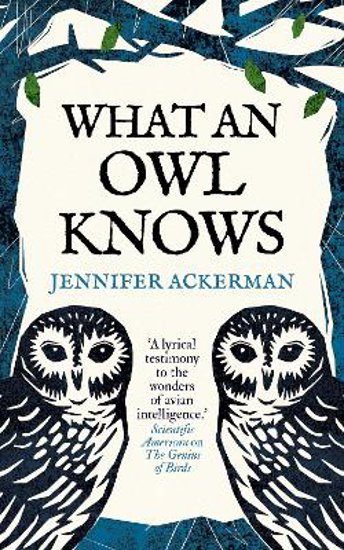 Picture of What An Owl Knows (ackerman) Hb