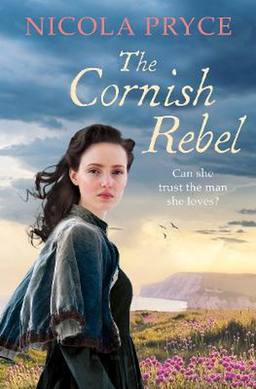 Picture of The Cornish Rebel