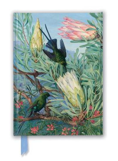 Picture of Kew Gardens' Marianne North: Honeyflowers and Honeysuckers Foiled Journal HB
