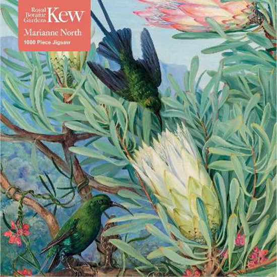 Picture of Kew Gardens' Marianne North: Honeyflowers and Honeysuckers 1000 Piece Jigsaw Puzzle PACK