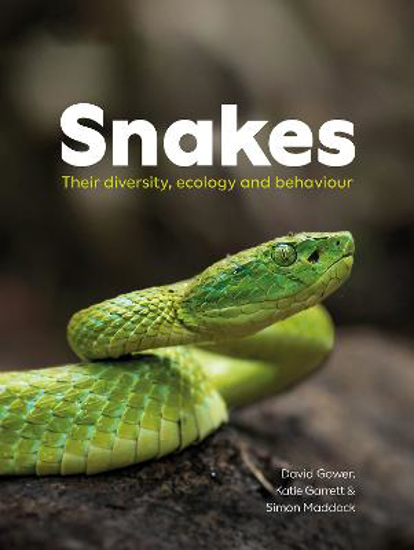 Picture of Snakes: Their Diversity, Ecology And Behaviour