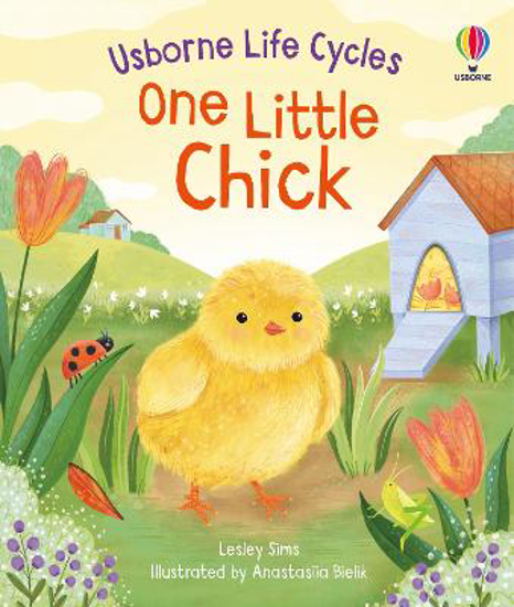 Picture of Life Cycles: One Little Chick