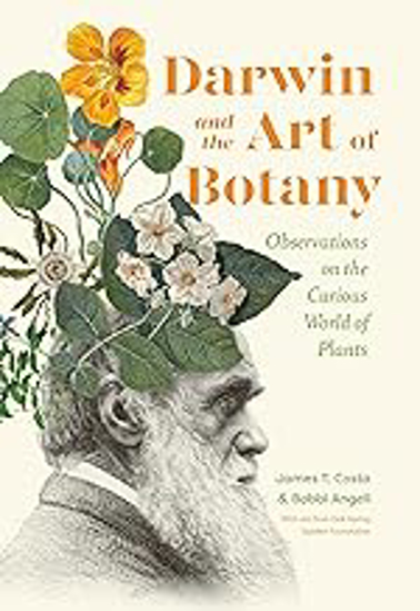 Picture of Darwin And The Art Of Botany