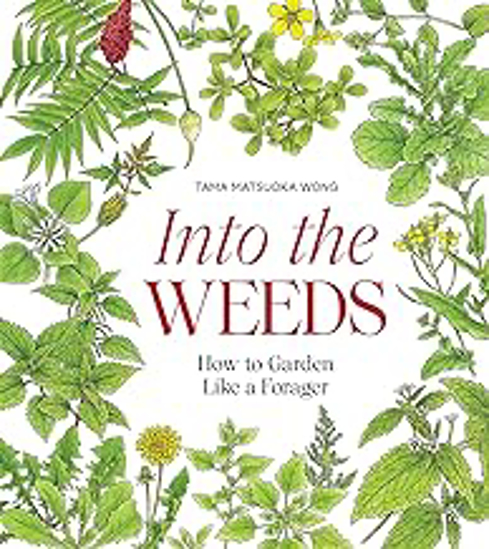 Picture of Into The Weeds