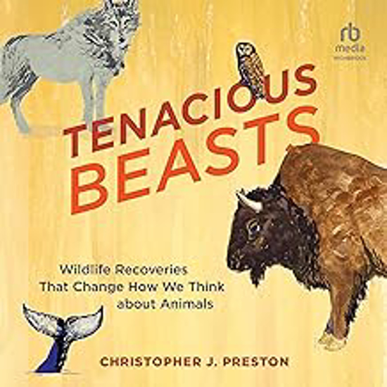 Picture of Tenacious Beasts