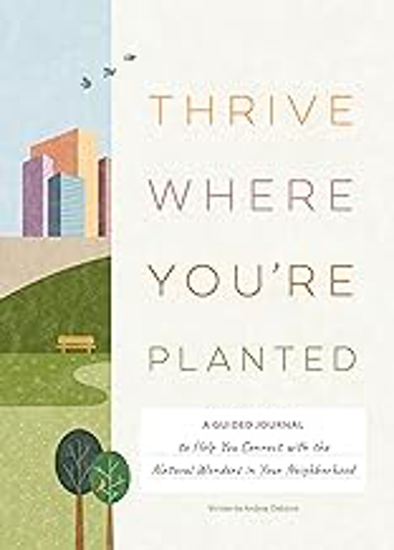 Picture of Thrive Where You're Planted
