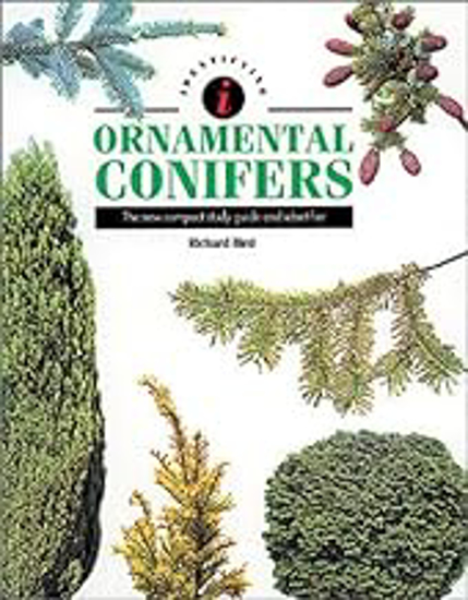 Picture of Identifying Oranamental Conifers